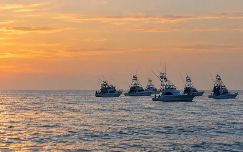 Sportfish fleet heading offshore at dawn
