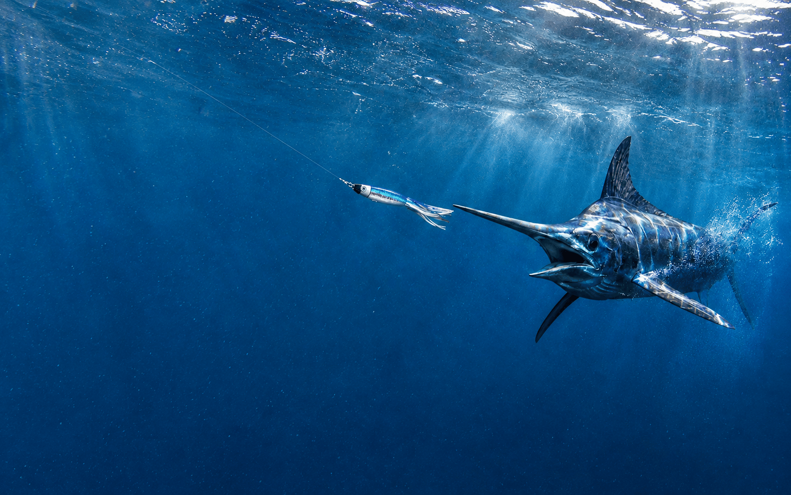 Marlin Hero
