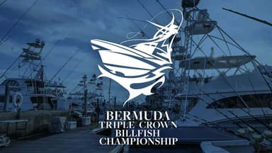 Bermuda Billfish Blast logo