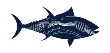 Montauk Canyon Challenge logo